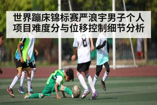世界蹦床锦标赛严浪宇男子个人项目难度分与位移控制细节分析